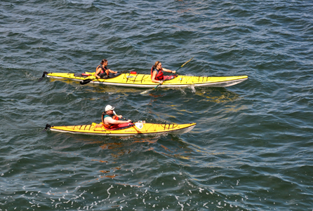 Vignette3-Randonnée aventure en kayak de mer